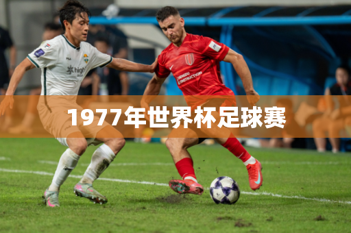 1977年世界杯足球赛