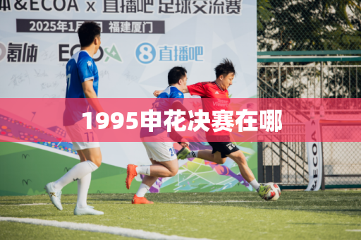 1995申花决赛在哪