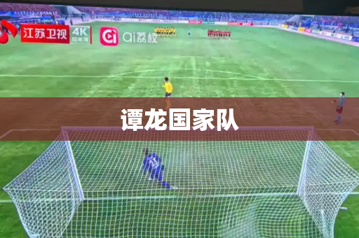 谭龙国家队 谭龙国家队