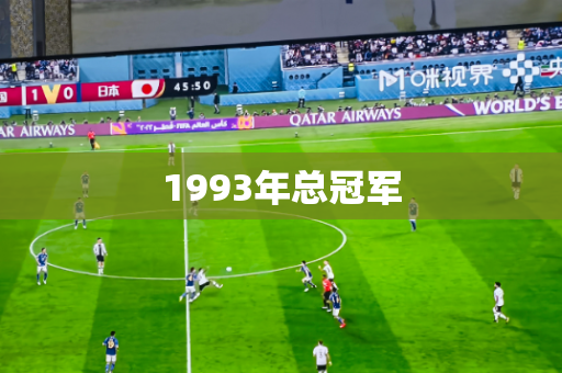1993年总冠军 1993年总冠军