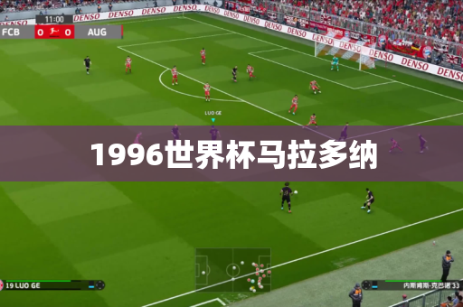 1996世界杯马拉多纳