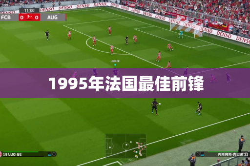 1995年法国最佳前锋