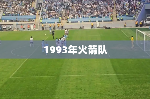 1993年火箭队 1993年火箭队