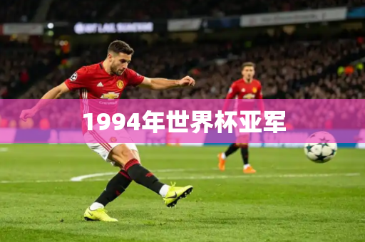 1994年世界杯亚军