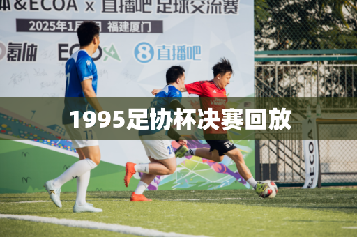 1995足协杯决赛回放
