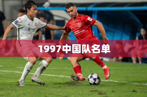 1997中国队名单