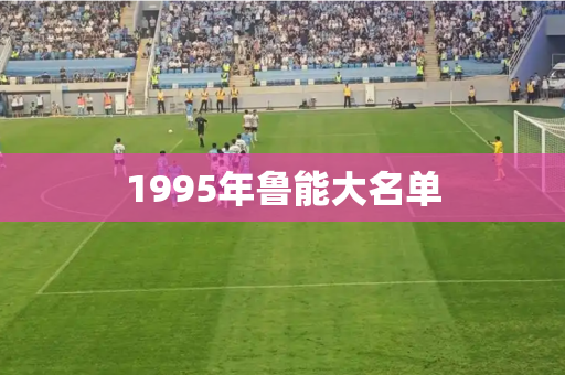 1995年鲁能大名单