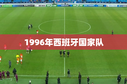 1996年西班牙国家队 1996年西班牙国家队