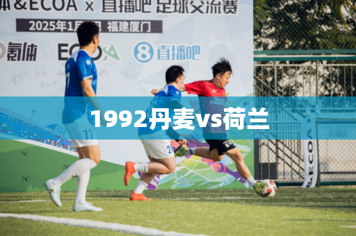 1992丹麦vs荷兰