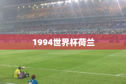 1994世界杯荷兰 1994世界杯荷兰