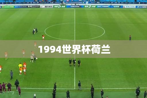 1994世界杯荷兰 1994世界杯荷兰
