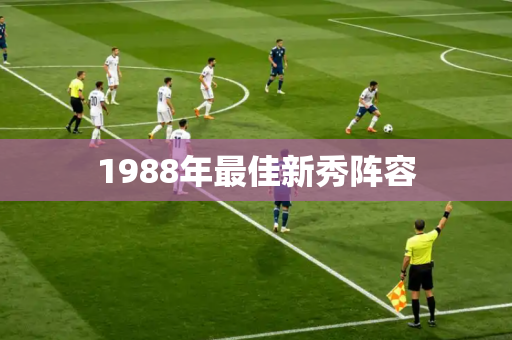 1988年最佳新秀阵容