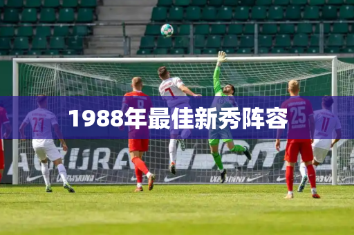 1988年最佳新秀阵容