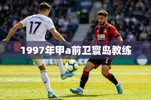 1997年甲a前卫寰岛教练