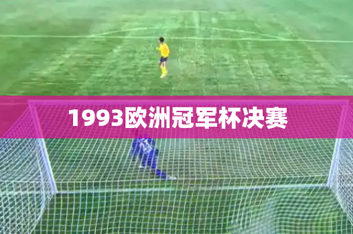 1993欧洲冠军杯决赛