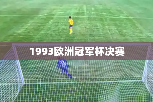 1993欧洲冠军杯决赛