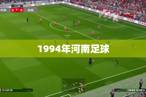 1994年河南足球 1994年河南足球