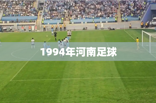 1994年河南足球 1994年河南足球