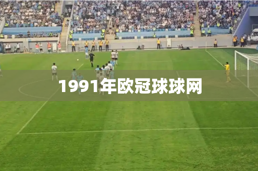 1991年欧冠球球网 1991年欧冠球球网