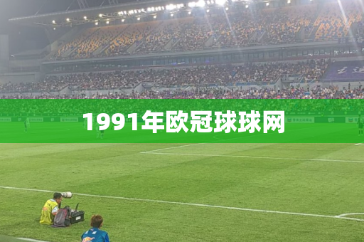 1991年欧冠球球网