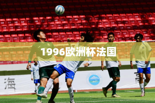 1996欧洲杯法国