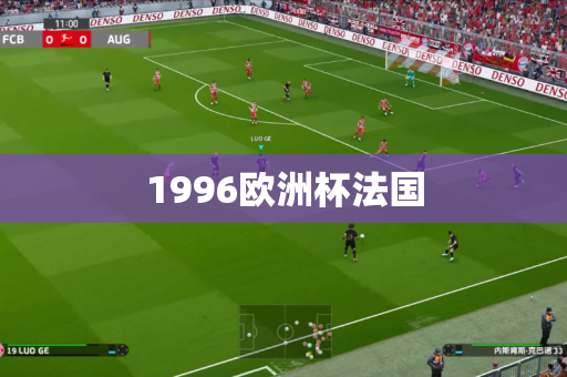 1996欧洲杯法国