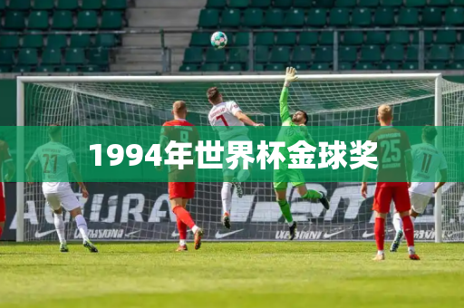1994年世界杯金球奖 1994年世界杯金球奖