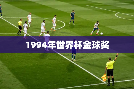 1994年世界杯金球奖 1994年世界杯金球奖