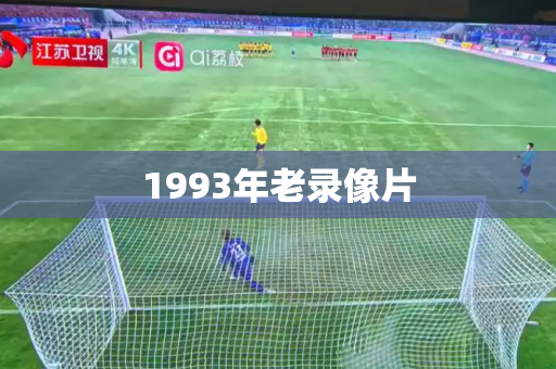 1993年老录像片 1993年老录像片