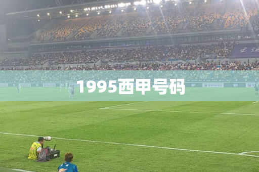 1995西甲号码 1995西甲号码