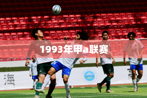 1993年甲a联赛