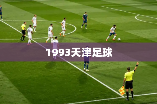 1993天津足球 1993天津足球