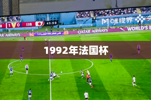 1992年法国杯 1992年法国杯