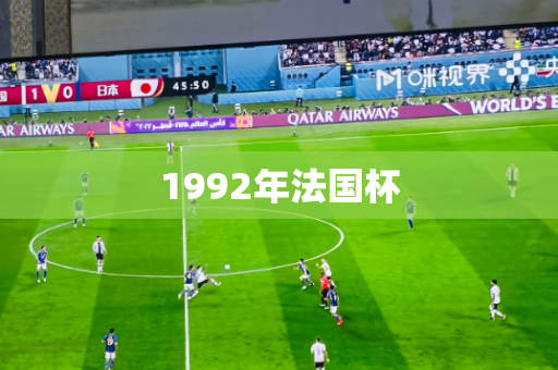 1992年法国杯 1992年法国杯