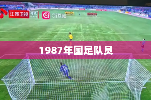 1987年国足队员 1987年国足队员