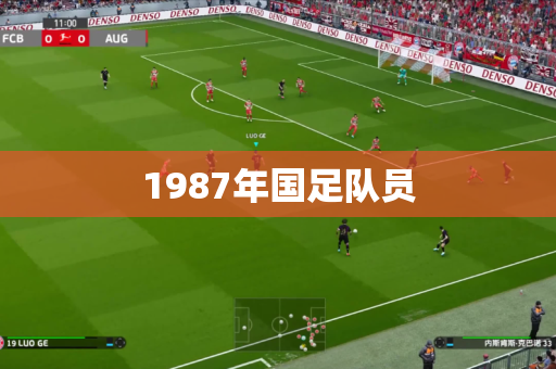 1987年国足队员 1987年国足队员