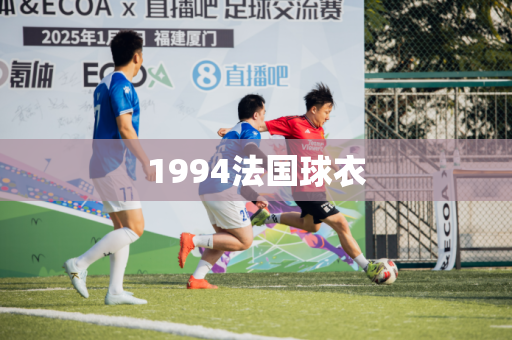 1994法国球衣 1994法国球衣