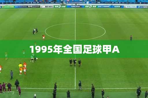 1995年全国足球甲A 1995年全国足球甲A