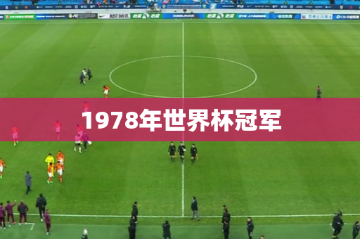 1978年世界杯冠军 1978年世界杯冠军
