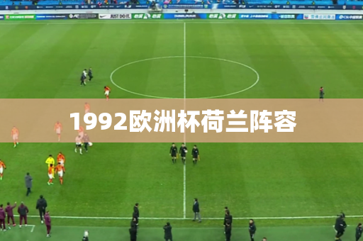 1992欧洲杯荷兰阵容 1992欧洲杯荷兰阵容