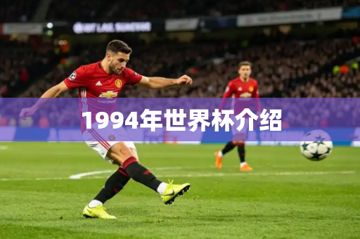1994年世界杯介绍 1994年世界杯介绍