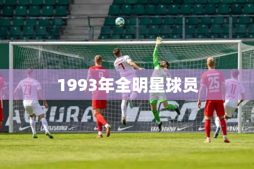 1993年全明星球员 1993年全明星球员