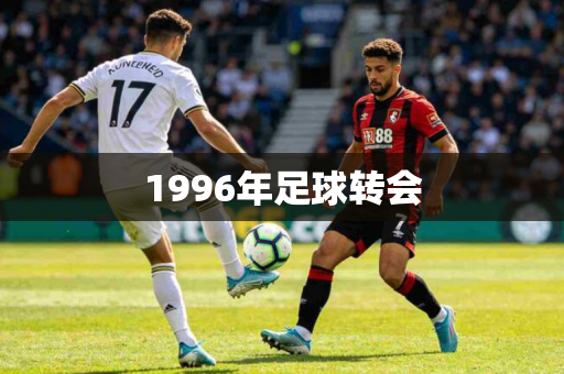 1996年足球转会