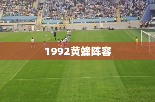 1992黄蜂阵容