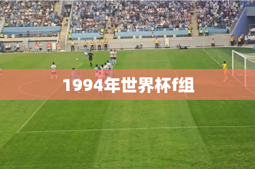 1994年世界杯f组 1994年世界杯f组