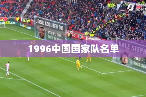 1996中国国家队名单