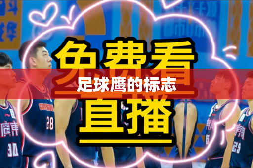 足球鹰的标志