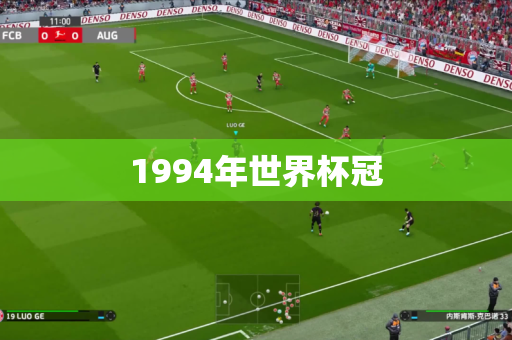 1994年世界杯冠 1994年世界杯冠