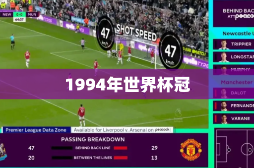 1994年世界杯冠