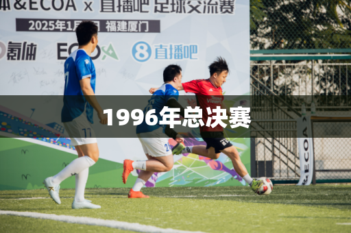 1996年总决赛 1996年总决赛